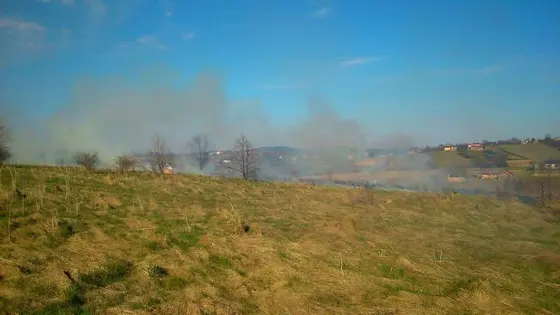 Pożar traw — 10.04.2015 — zdjęcie 49