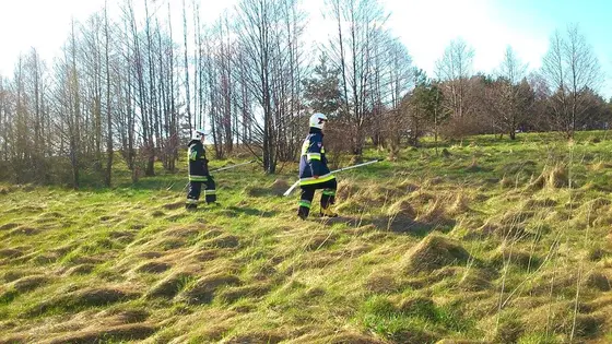 Pożar traw — 10.04.2015 — zdjęcie 50