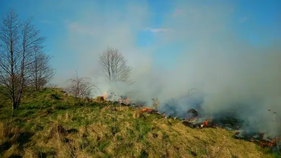 Pożar traw — 10.04.2015 — zdjęcie 51