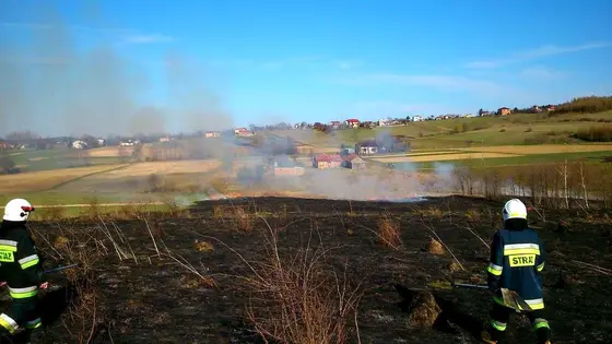 Pożar traw — 10.04.2015 — zdjęcie 52