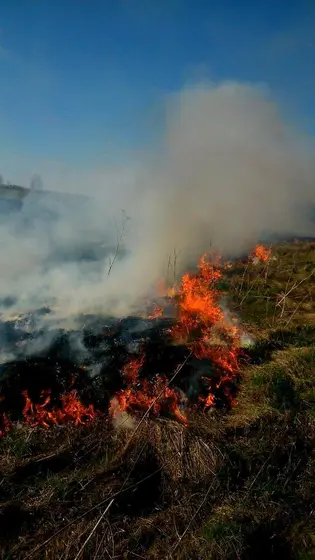 Pożar traw — 10.04.2015 — zdjęcie 53