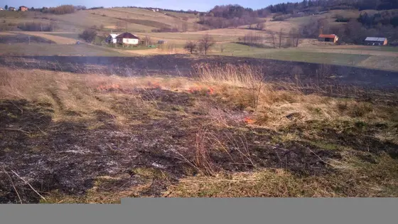 Pożar traw — 10.04.2015 — zdjęcie 57