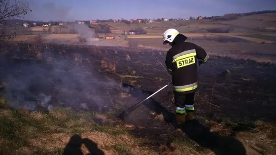 Pożar traw — 10.04.2015 — zdjęcie 58