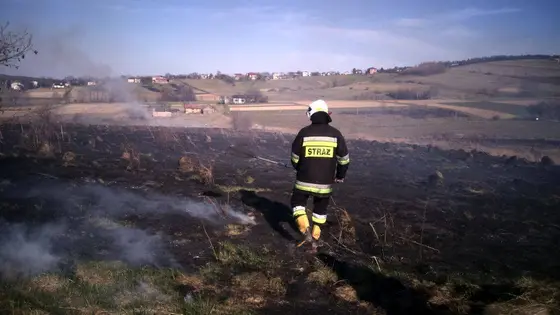 Pożar traw — 10.04.2015 — zdjęcie 59
