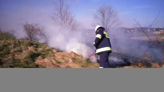 Pożar traw — 10.04.2015 — zdjęcie 60