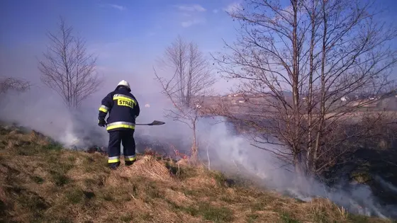 Pożar traw — 10.04.2015 — zdjęcie 61