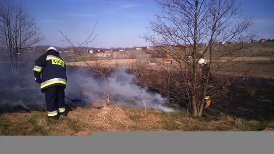 Pożar traw — 10.04.2015 — zdjęcie 62