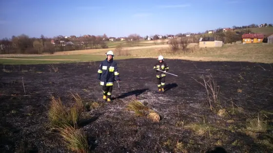Pożar traw — 10.04.2015 — zdjęcie 64