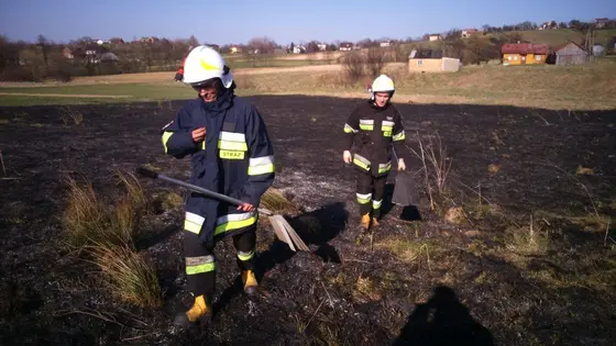 Pożar traw — 10.04.2015 — zdjęcie 65