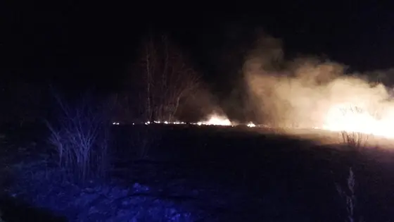 Kronika jednostki 2017 — cały rok — zdjęcie 453