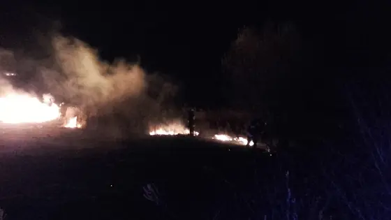 Kronika jednostki 2017 — cały rok — zdjęcie 454