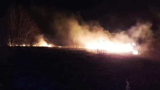 Kronika jednostki 2017 — cały rok — zdjęcie 455