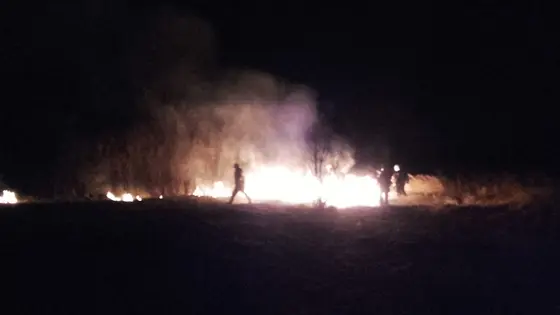 Kronika jednostki 2017 — cały rok — zdjęcie 457
