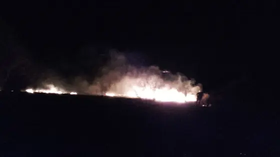 Kronika jednostki 2017 — cały rok — zdjęcie 458