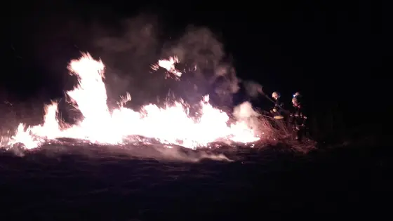 Kronika jednostki 2017 — cały rok — zdjęcie 460