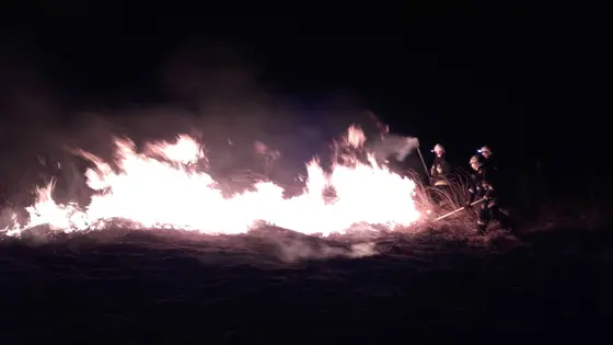 Kronika jednostki 2017 — cały rok — zdjęcie 461
