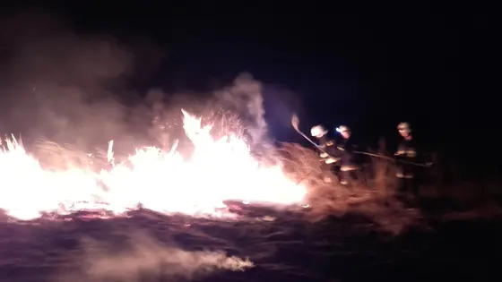 Kronika jednostki 2017 — cały rok — zdjęcie 465