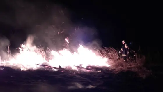 Kronika jednostki 2017 — cały rok — zdjęcie 466