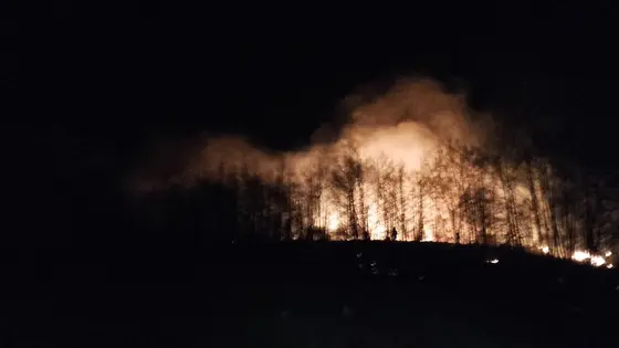 Kronika jednostki 2017 — cały rok — zdjęcie 469