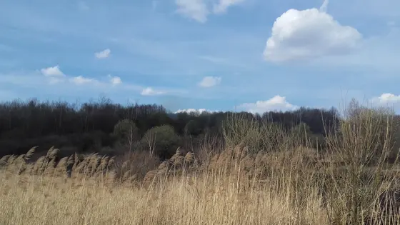 Kronika jednostki 2017 — cały rok — zdjęcie 484