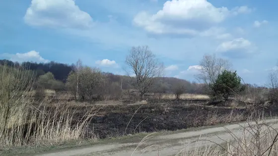 Kronika jednostki 2017 — cały rok — zdjęcie 485