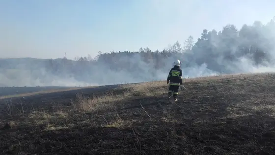 Kronika jednostki 2017 — cały rok — zdjęcie 490
