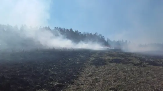 Kronika jednostki 2017 — cały rok — zdjęcie 493