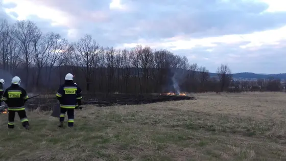 Kronika jednostki 2017 — cały rok — zdjęcie 499