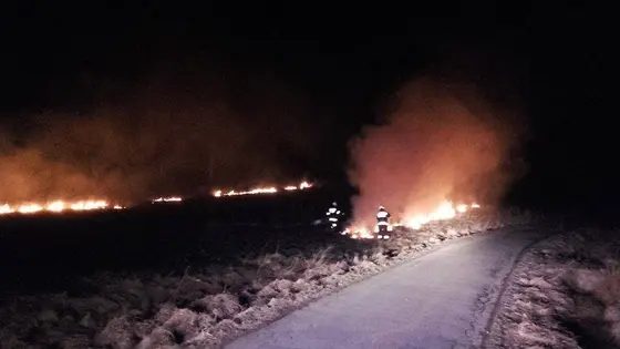 Kronika jednostki 2017 — cały rok — zdjęcie 620