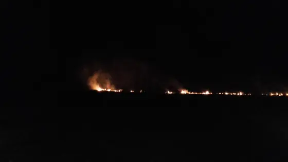 Pożary traw marzec kwiecień 2017