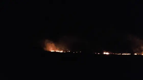 Pożary traw marzec kwiecień 2017 — zdjęcie 6