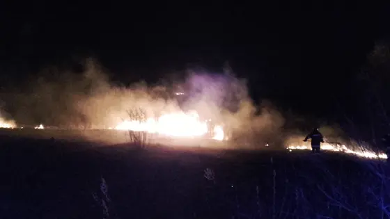 Pożary traw marzec kwiecień 2017 — zdjęcie 19