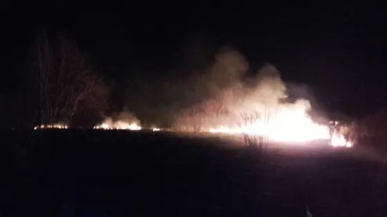 Pożary traw marzec kwiecień 2017 — zdjęcie 23