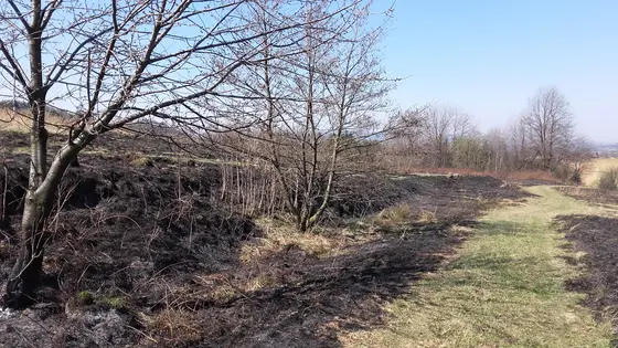 Pożary traw marzec kwiecień 2017 — zdjęcie 43