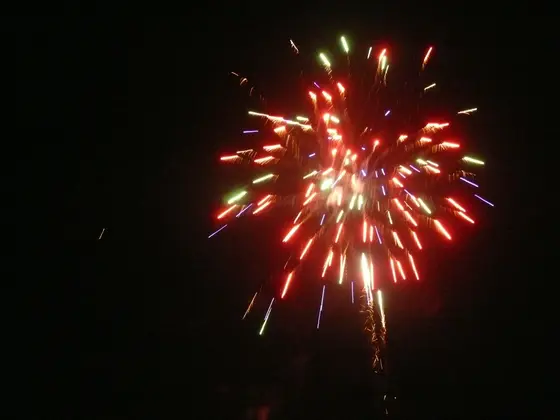 Kronika jednostki 2013 — cały rok — zdjęcie 643