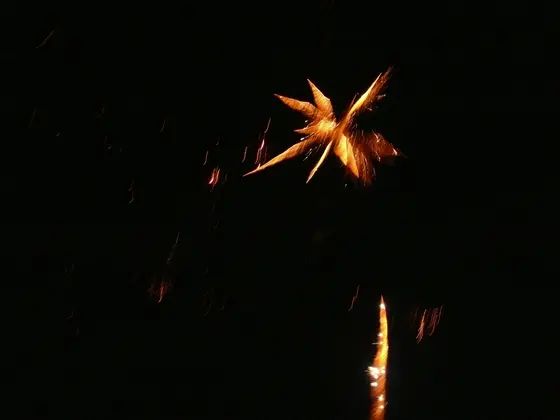 Kronika jednostki 2013 — cały rok — zdjęcie 649