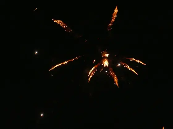 Kronika jednostki 2013 — cały rok — zdjęcie 650