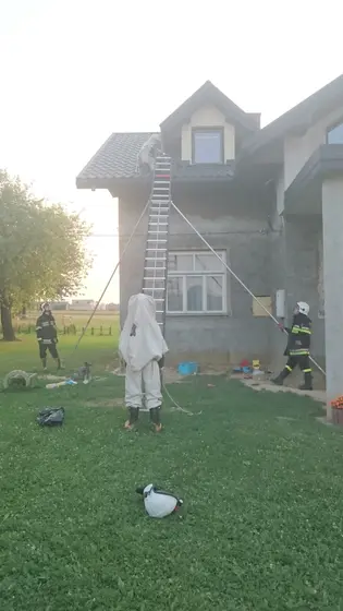 Szerszenie — zdjęcie 88