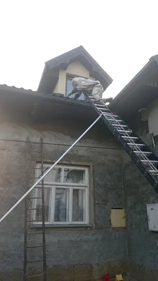 Szerszenie — zdjęcie 90