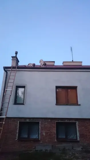 Szerszenie — zdjęcie 40