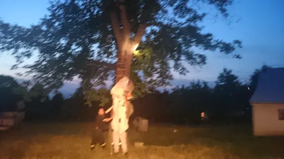 Szerszenie — zdjęcie 44