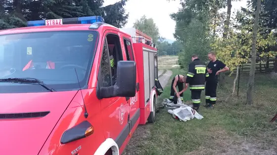 Szerszenie — zdjęcie 82
