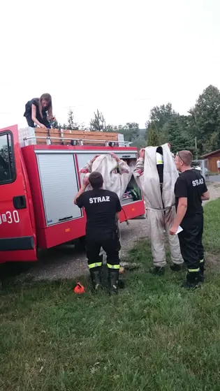 Szerszenie — zdjęcie 8