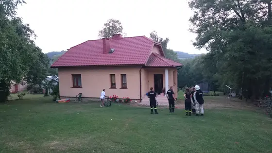 Szerszenie — zdjęcie 9