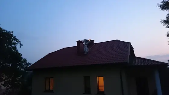 Szerszenie — zdjęcie 13