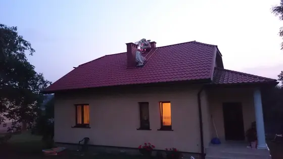 Szerszenie — zdjęcie 14