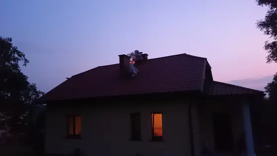 Szerszenie — zdjęcie 15