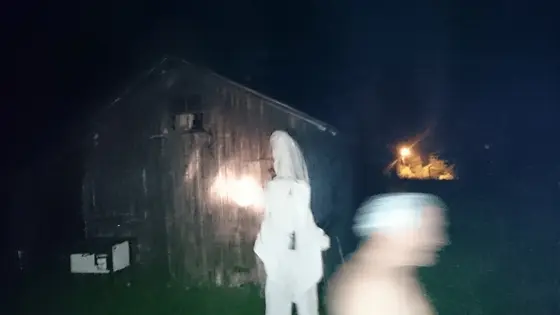 Szerszenie — zdjęcie 26