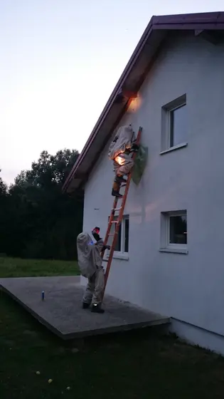 Szerszenie — zdjęcie 63