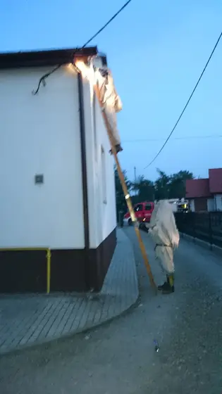Szerszenie — zdjęcie 69
